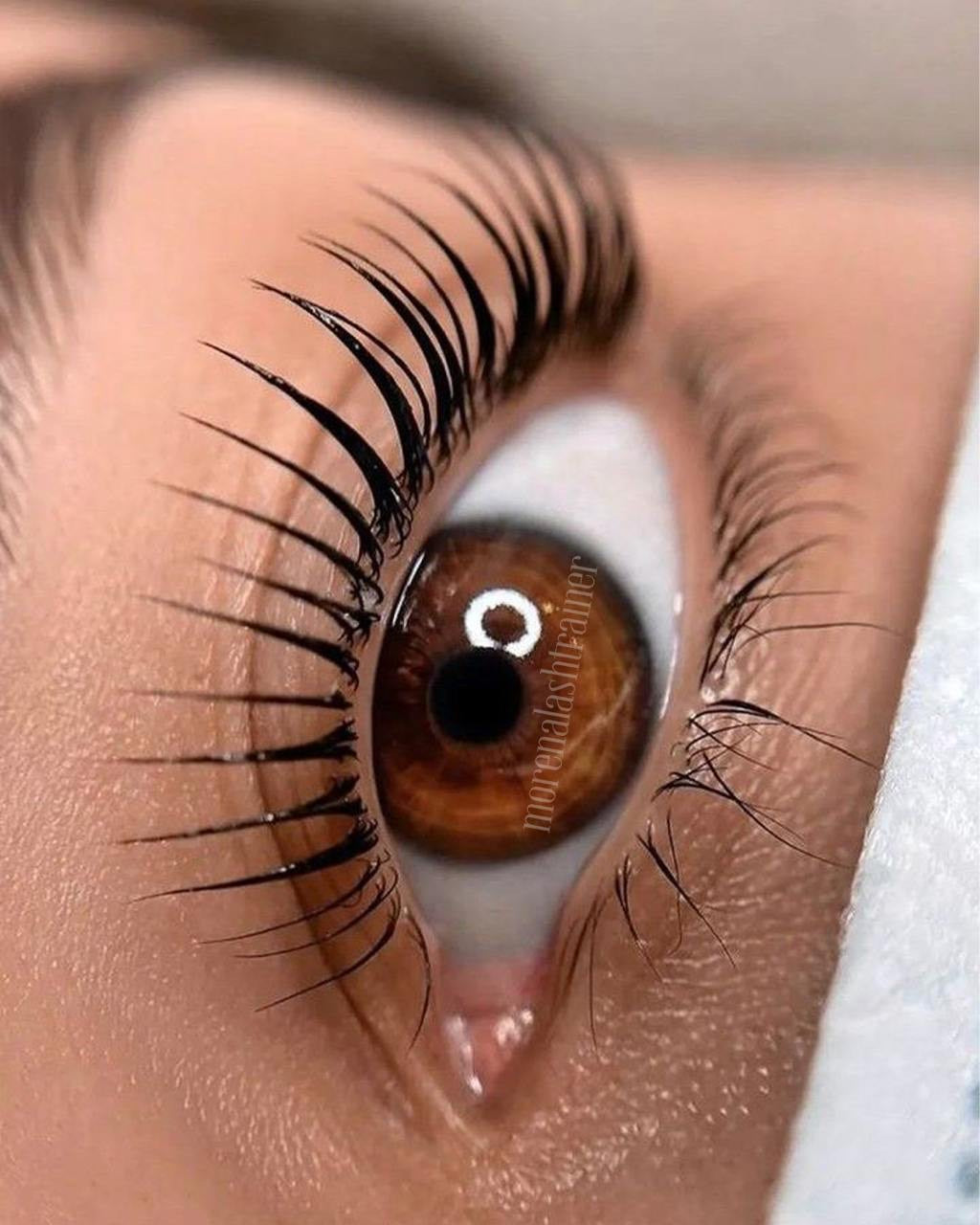 Σεμινάριο Lash Lift